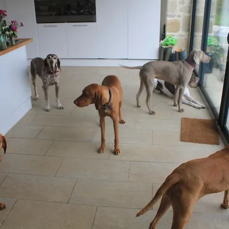 Bed & Breakfast Le Moulin Pastelier *