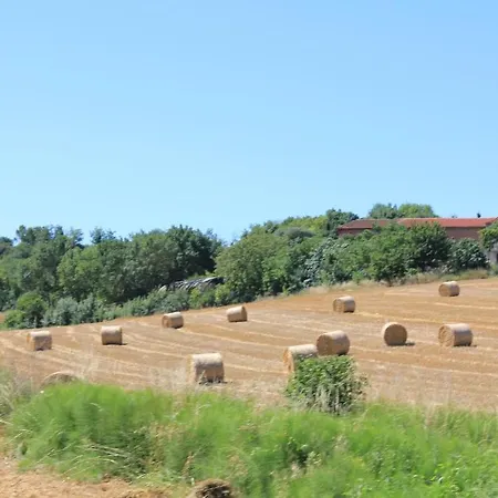 Bed & Breakfast Le Moulin Pastelier Bélesta-en-Lauragais