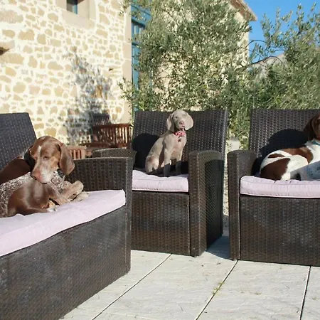 Bed & Breakfast Le Moulin Pastelier