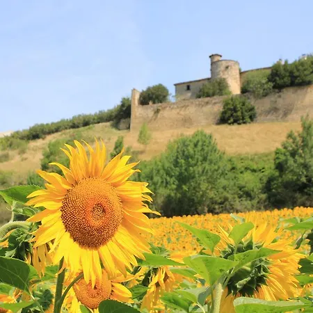 Le Moulin Pastelier * Bélesta-en-Lauragais