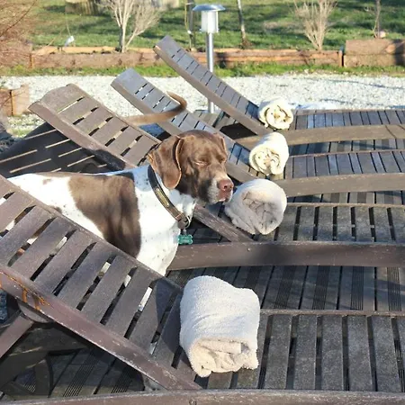 Le Moulin Pastelier * Bélesta-en-Lauragais
