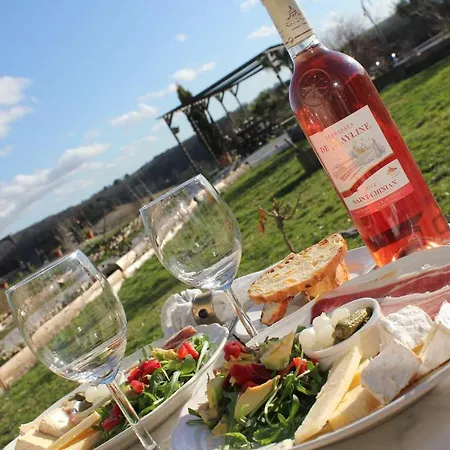 Le Moulin Pastelier Bed & Breakfast *