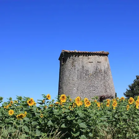 Bed & Breakfast Le Moulin Pastelier Bélesta-en-Lauragais