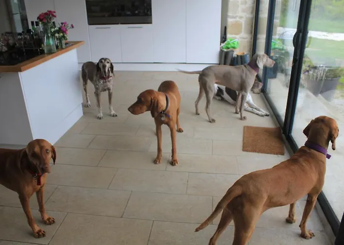 Bed & Breakfast Le Moulin Pastelier *