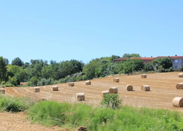 Bed & Breakfast Le Moulin Pastelier Bélesta-en-Lauragais