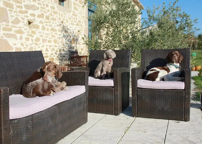 Bed & Breakfast Le Moulin Pastelier