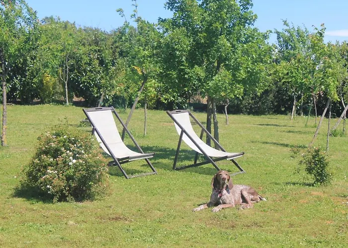 Le Moulin Pastelier Bed & Breakfast