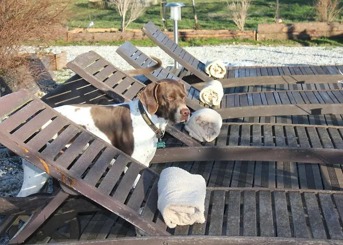 Le Moulin Pastelier * Bélesta-en-Lauragais